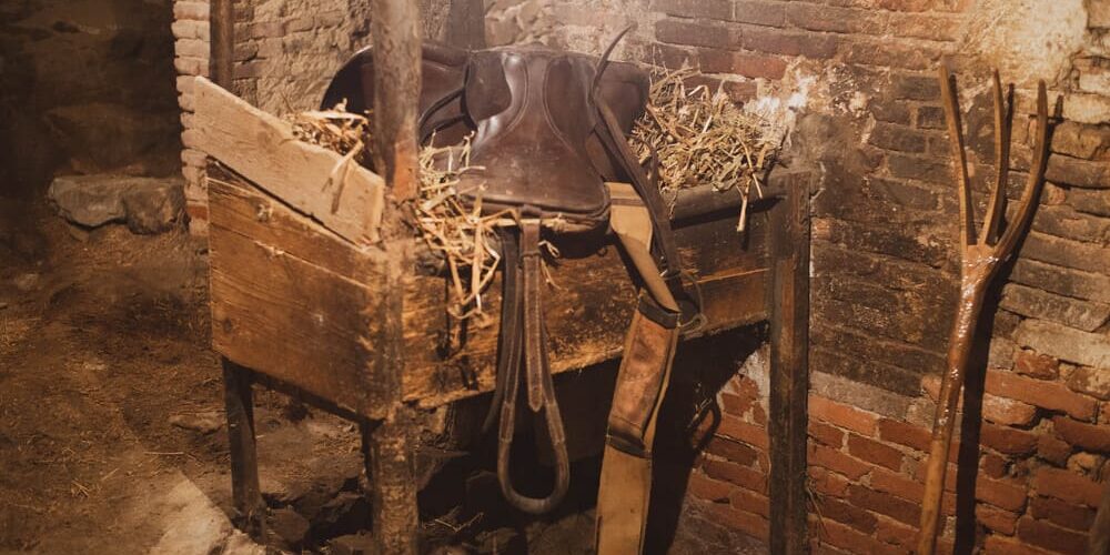 presepe-vivente-pollina-edizioni-passate (24)