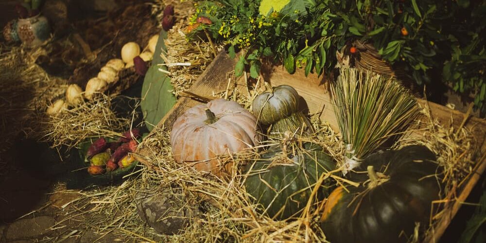 presepe-vivente-pollina-edizioni-passate (4)