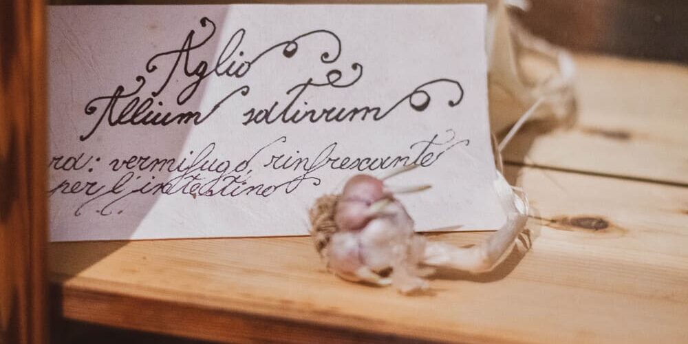 presepe-vivente-pollina-edizioni-passate (61)